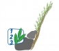 Preview: BW_104200100_Pflegeschritte_Ingbiotools