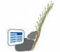 Preview: BW_104200100_Steckbrief_Ingbiotools