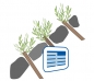 Preview: BW_104220201_Steckbrief_Ingbiotools