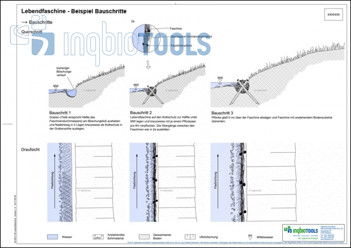 Preview: Beispielbauschritte der Bauweise Lebendfaschine