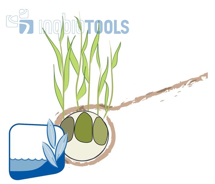 Regeldetail - Vegetationswalze mit Böschungsschutzmatte