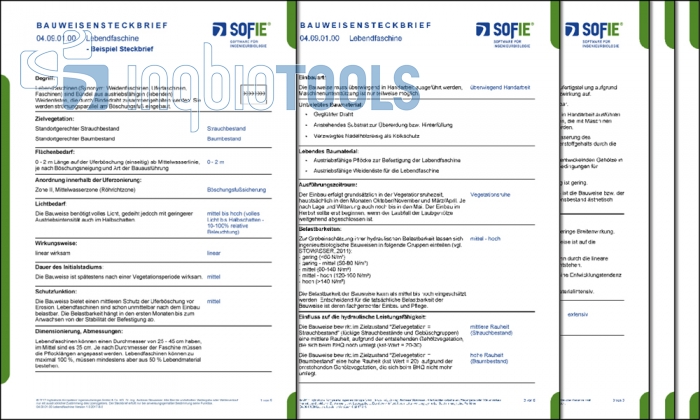 Beispielsteckbrief der Bauweise Lebendfaschine