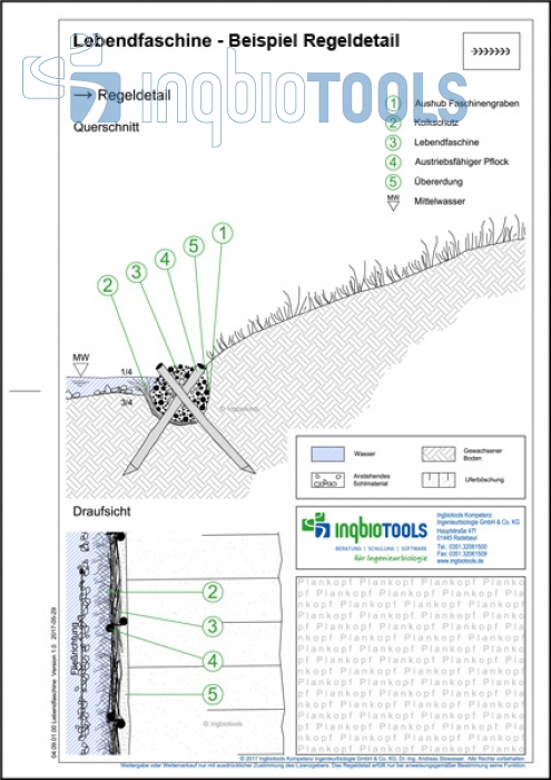 Beispielregeldetail der Bauweise Lebendfaschine