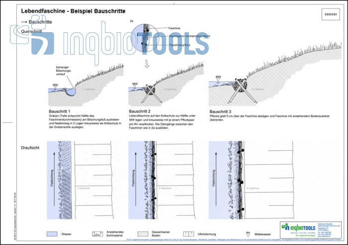 Beispielbauschritte der Bauweise Lebendfaschine