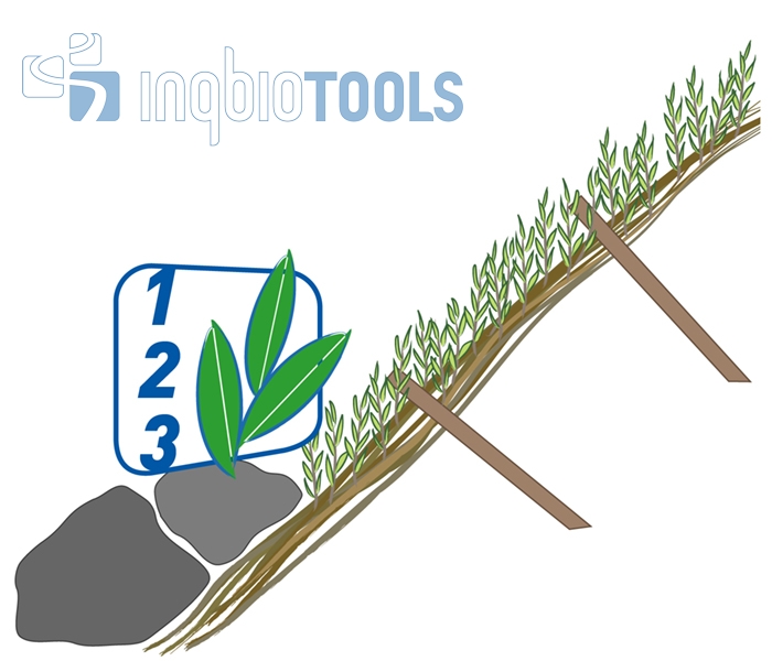 BW_104140400_Pflegeschritte_Ingbiotools