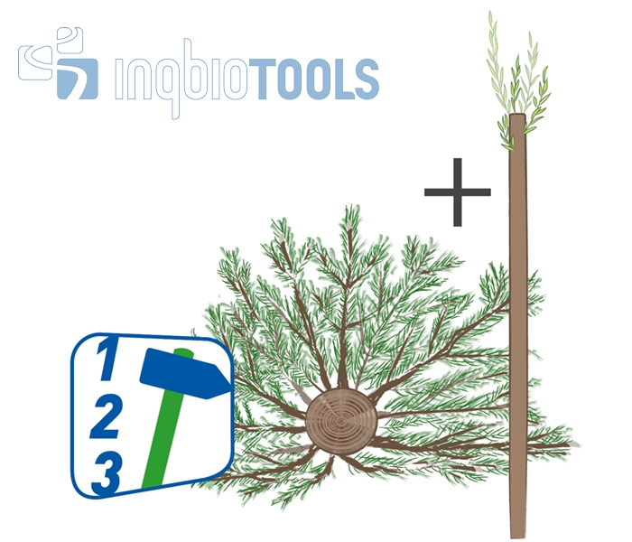 BW_104150102_Bauschritte_Ingbiotools