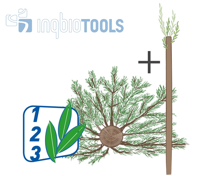 BW_104150102_Pflegeschritte_Ingbiotools