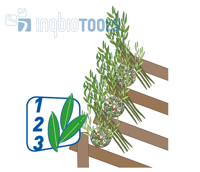 BW_104190201_Pflegeschritte_Ingbiotools