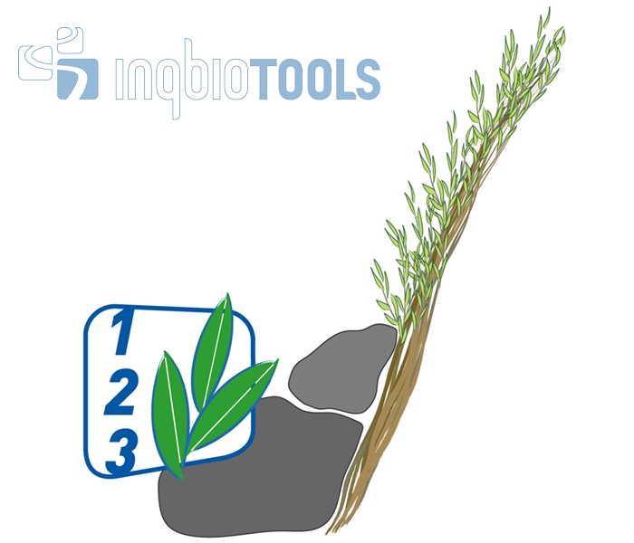 BW_104200100_Pflegeschritte_Ingbiotools