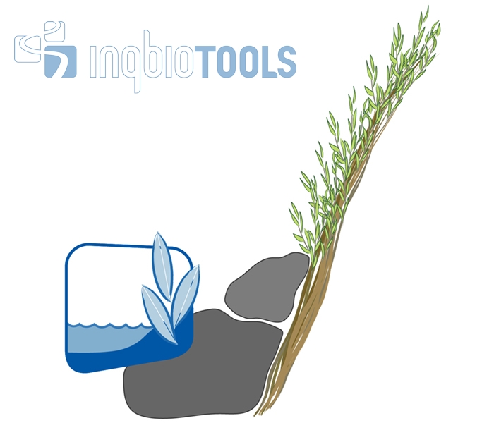 BW_104200100_Regeldetail_Ingbiotools