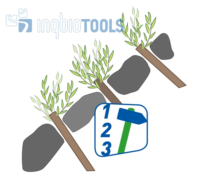 BW_104220201_Bauschritte_Ingbiotools