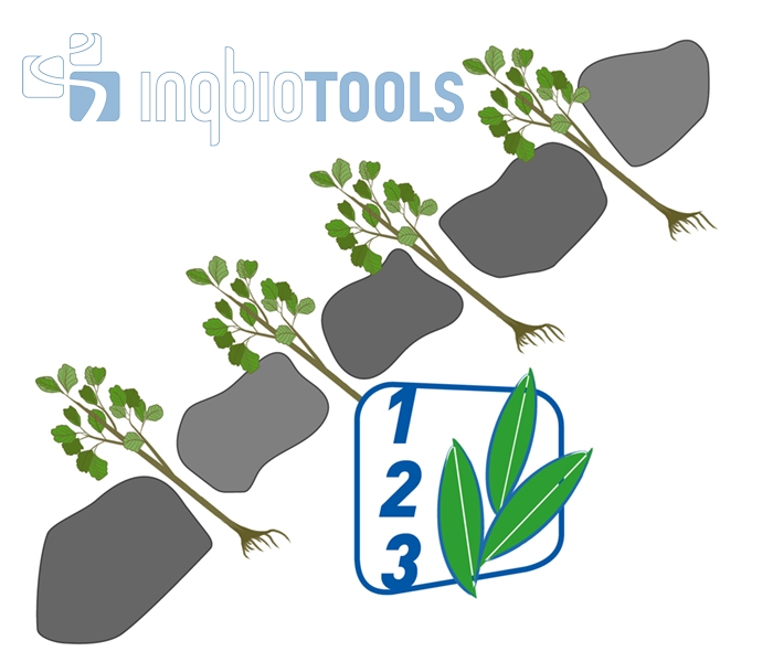 BW_104220302_Pflegeschritte_Ingbiotools