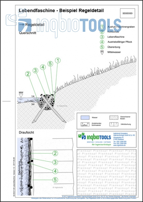 Beispielregeldetail der Bauweise Lebendfaschine